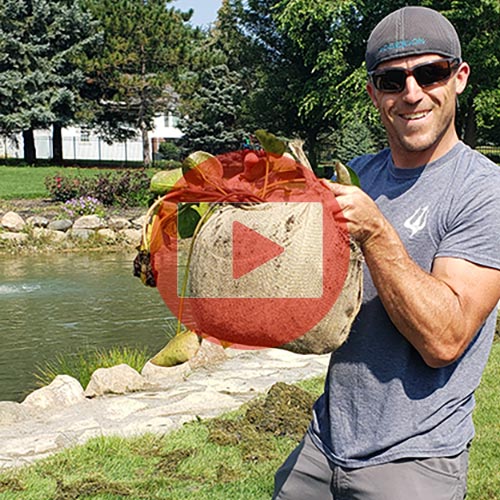 Watch Poseidon Ponds on YouTube Poseidon Ponds on YouTube